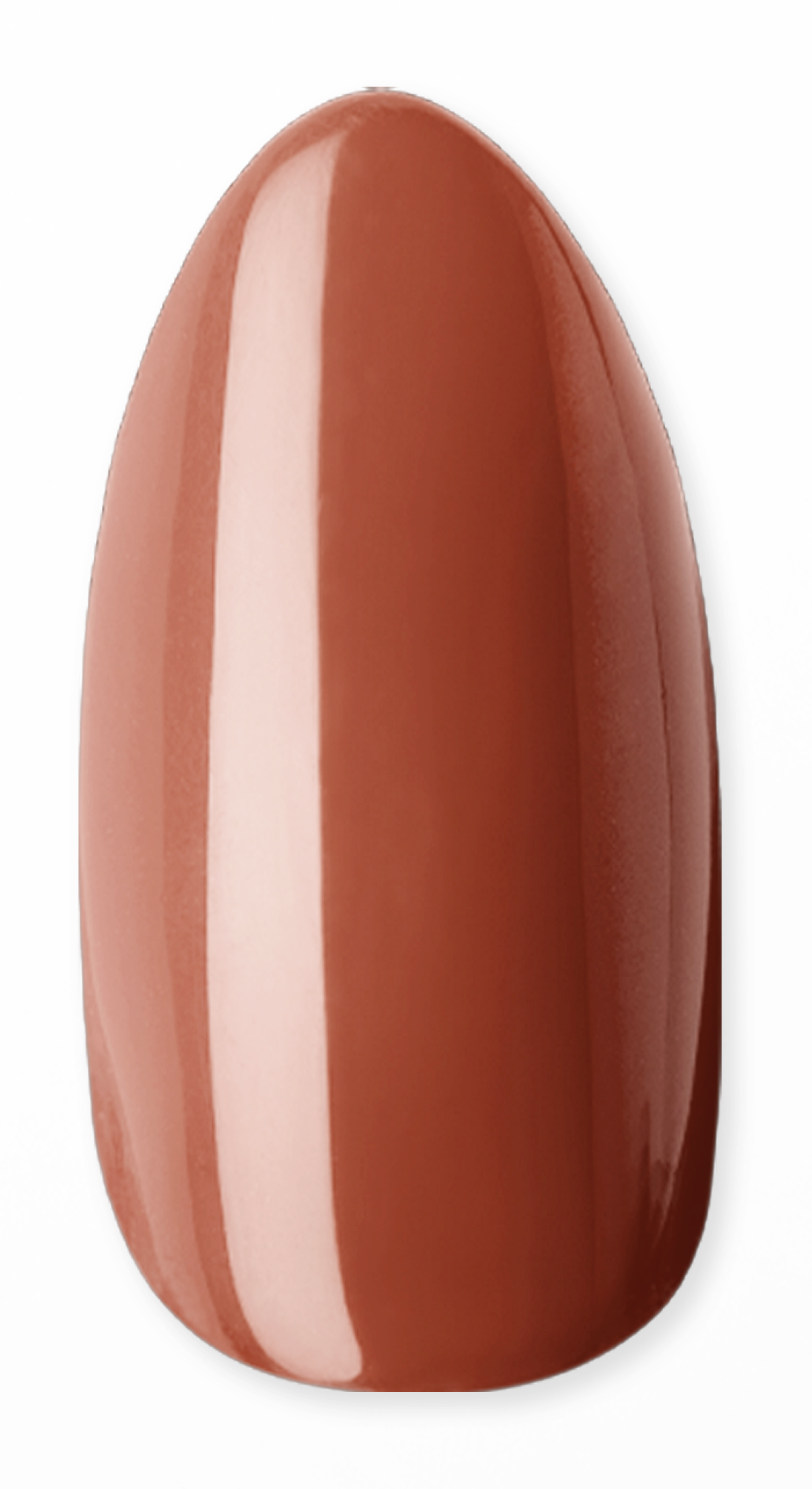 Brownie Points Dipping Powder