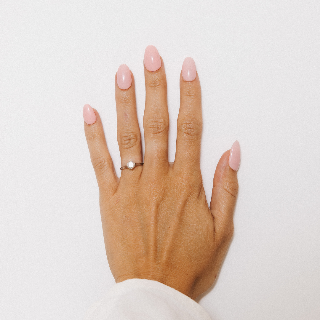 Fancy Flamingo Dipping Powder