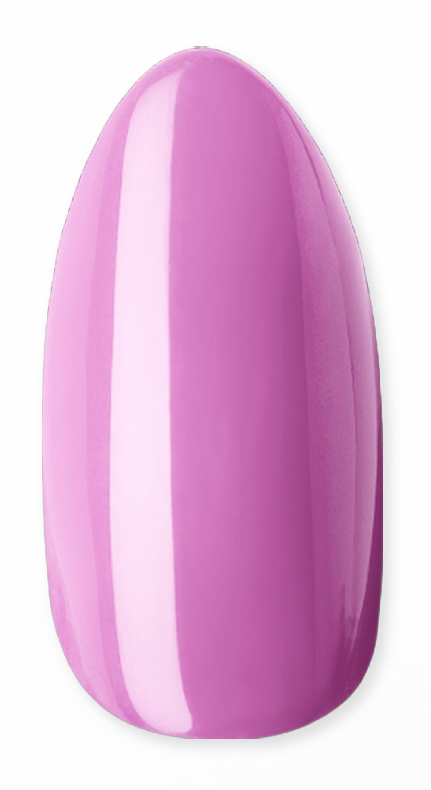 Lila Land Dipping Powder