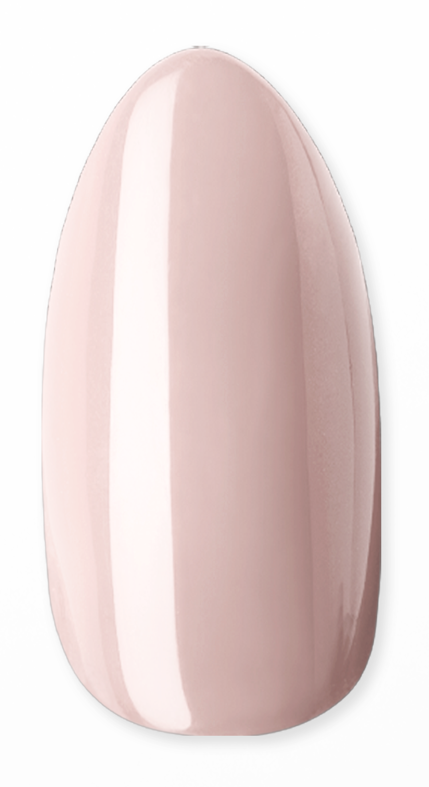 Wish it was winter Dipping Powder