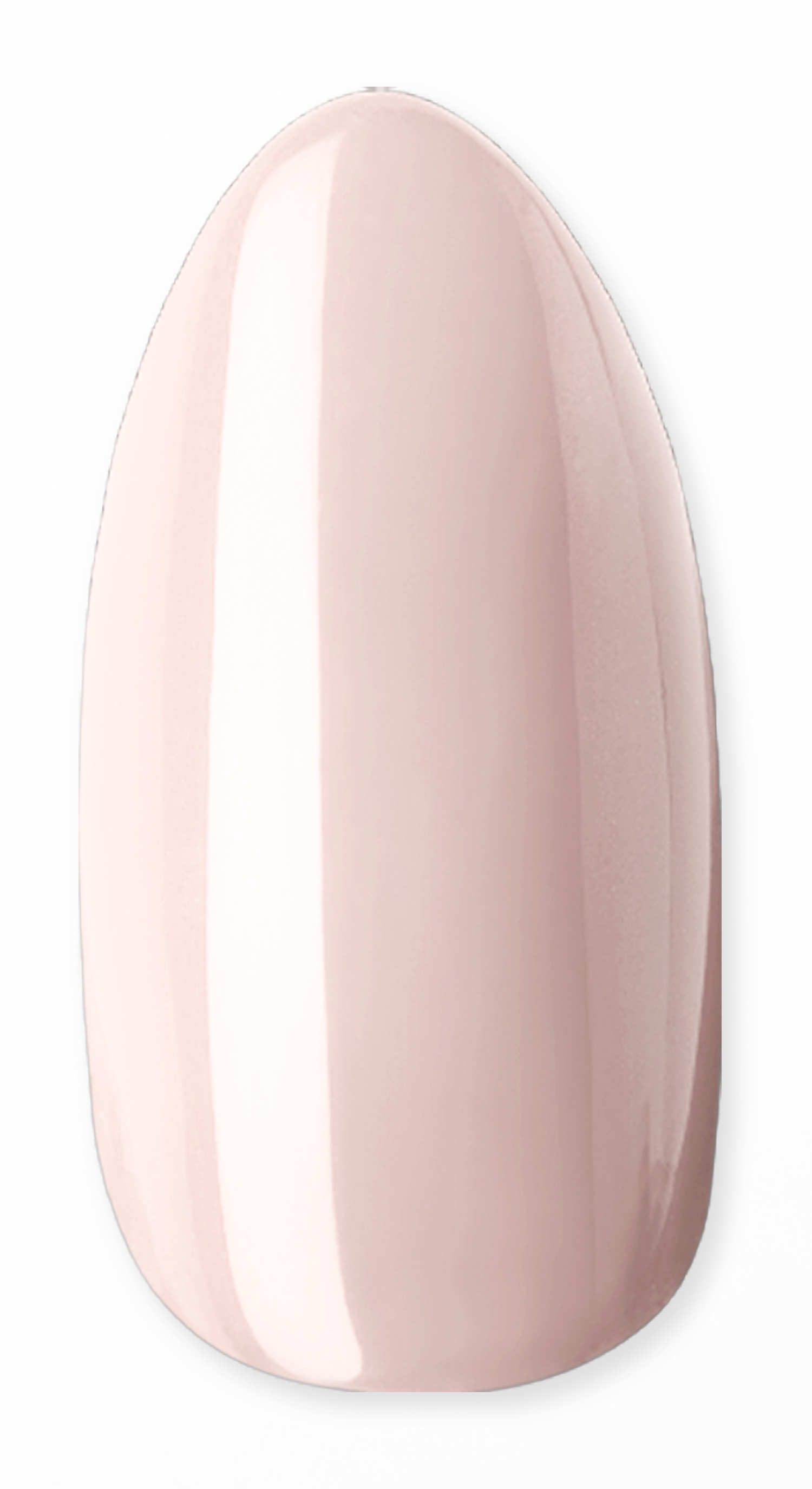 Nude Notion Dipping Powder